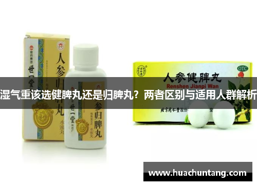 湿气重该选健脾丸还是归脾丸？两者区别与适用人群解析